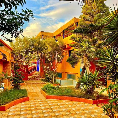 לינה וארוחת בוקר Tamraght Surf & Salsa Ocean House מראה חיצוני תמונה