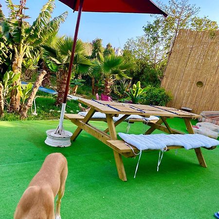 לינה וארוחת בוקר Tamraght Surf & Salsa Ocean House מראה חיצוני תמונה