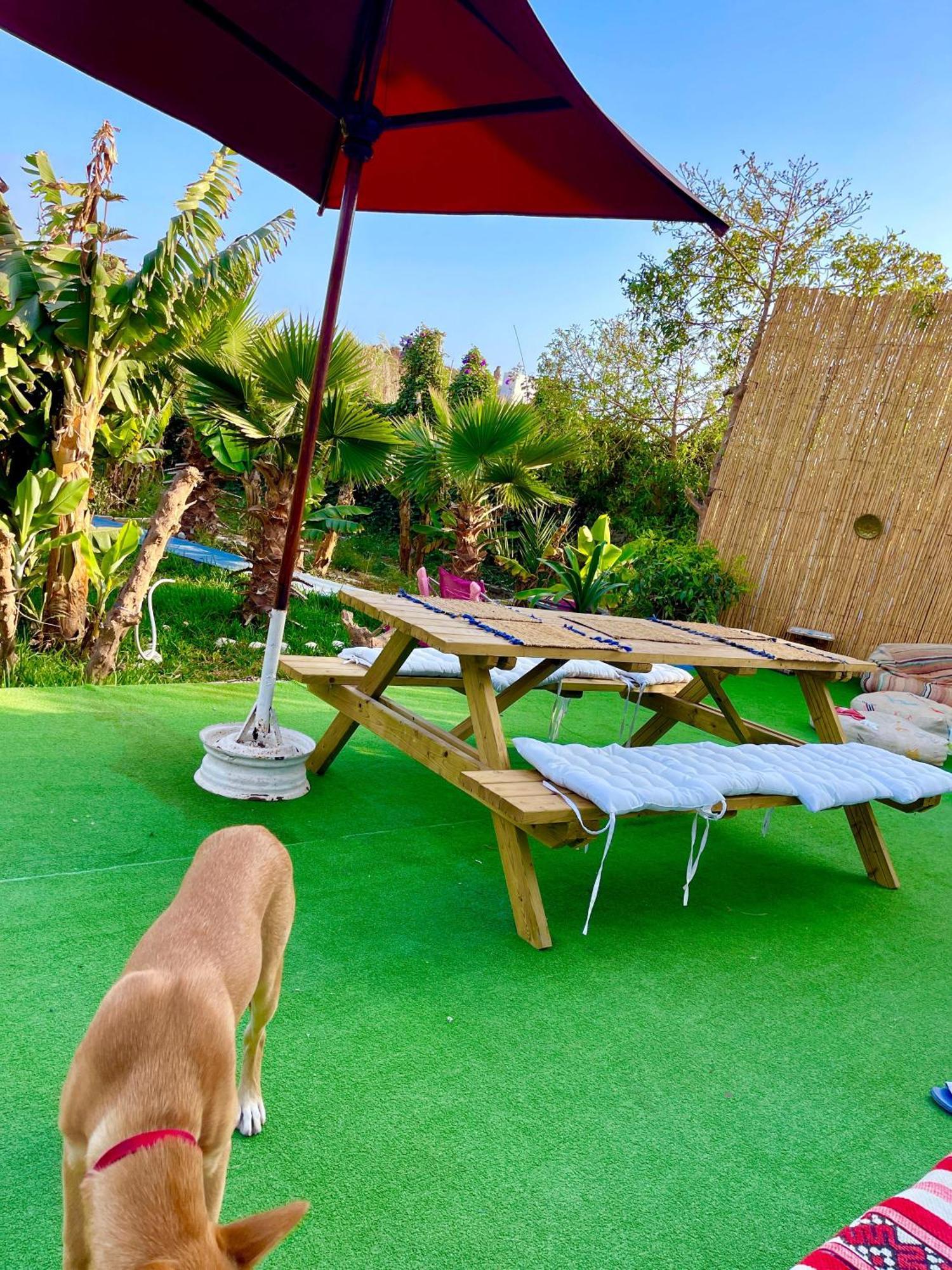 לינה וארוחת בוקר Tamraght Surf & Salsa Ocean House מראה חיצוני תמונה
